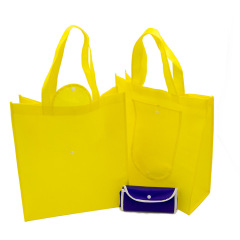 Wholesale Fashion Eco-friendly Pouch Foldable bags Colorful Grocery non woven bag