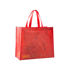 souvenir canvas tote bags,non-woven bag,pp nonwoven bag