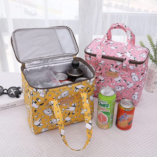 2022 Fashion Cooler Lunch Bag For Kid Insulated Durable Lunch Bag Reusable Cooler Lunch Bag with Handle