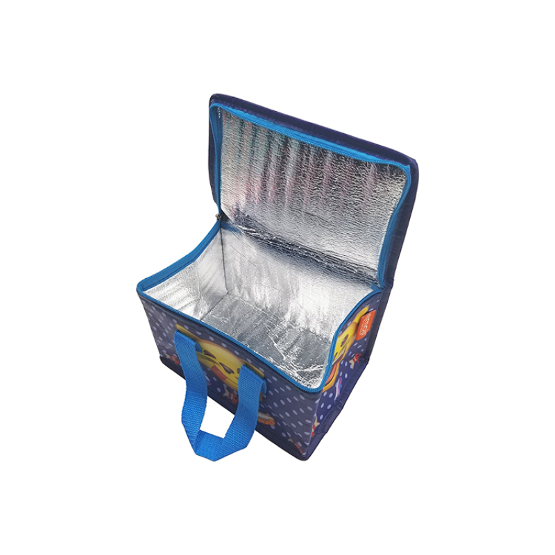 New arrival small portable thermal cooler insulated waterproof lunch box storage picnic cooler bag
