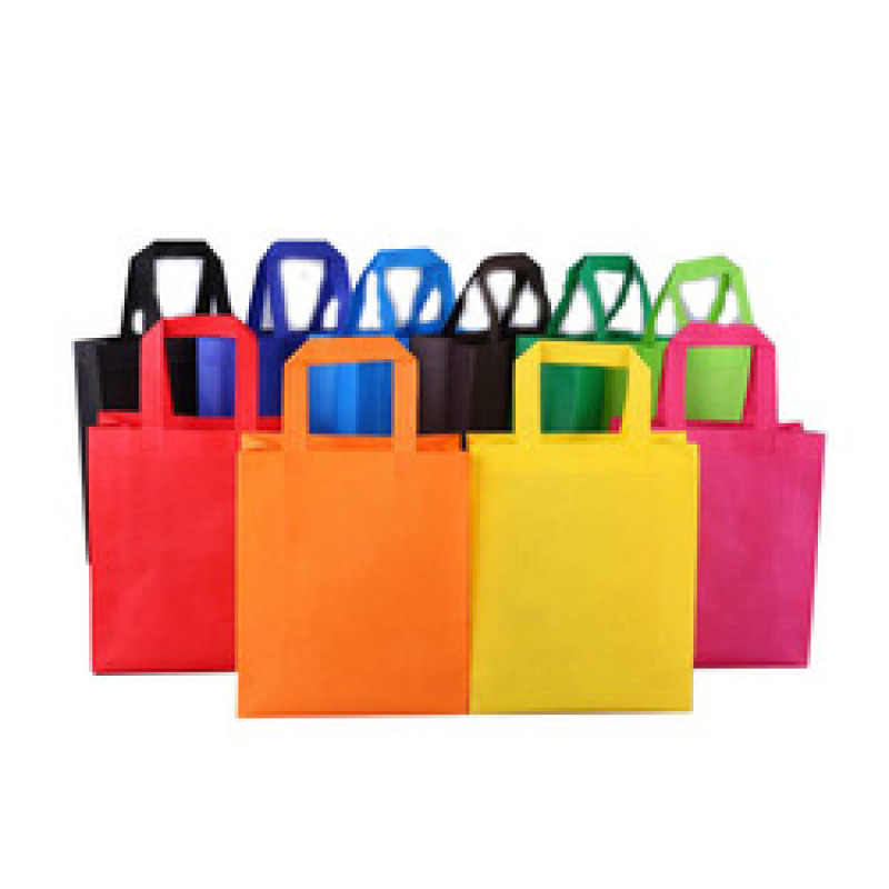 Hot Sale Custom Logo Eco-friendly PP Non Woven Durable Handled Shopping bag