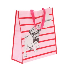 Top Popular New Fashion Eco Friendly Portable PP Non woven Shopping Bag on sale