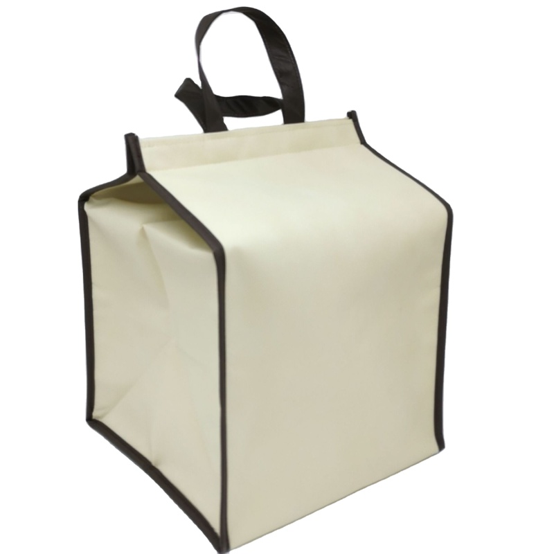 OEM insulated cooler  bag supermarket custom logo lunch bag  Non Woven Outdoor Picnic Food Cooler Bag