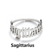 S Sagittarius