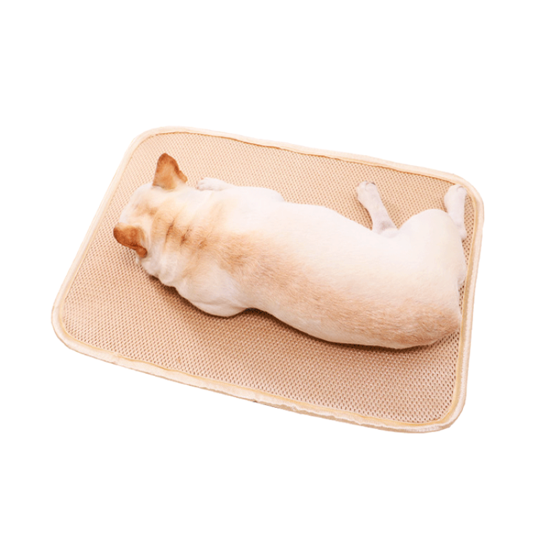 Pet Washed Training Pad Absorbent Pad Nappies Dog Sofa Mattress Anti-dirty Sliding Washable Dog Pee Pads