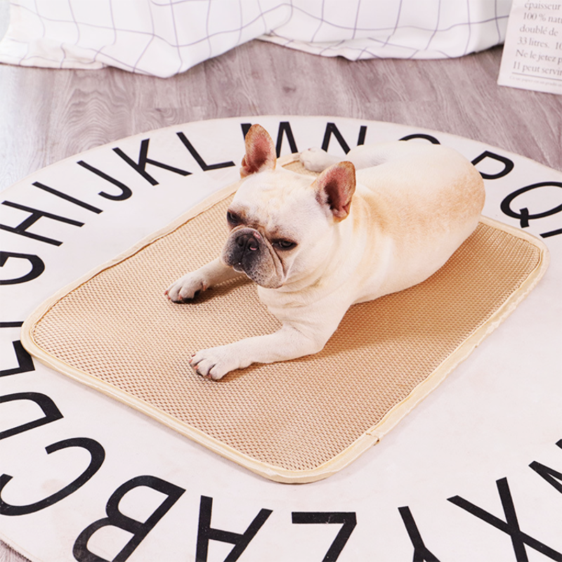 Pet Washed Training Pad Absorbent Pad Nappies Dog Sofa Mattress Anti-dirty Sliding Washable Dog Pee Pads