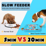 Wholesale Treat Dispensing Dogs Slow Feeder Increase IQ Pet Dog Training Games Feeder Interactive Dog Food Puzzle Toy