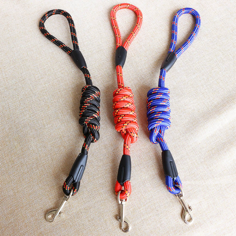 Free Sample Heavy Duty Pet Recall Outside Training Line Long Leash for Large Medium Small Dogs Walking Camping Leads