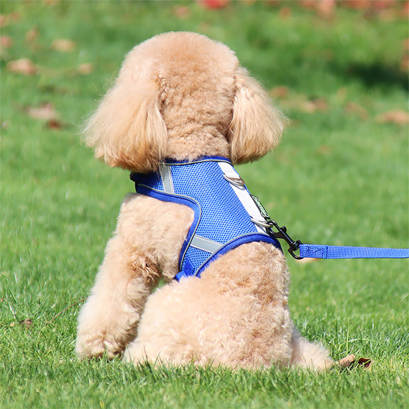 Lightweight Soft Adjustable Dog Harness with Multifunction Dog Leash