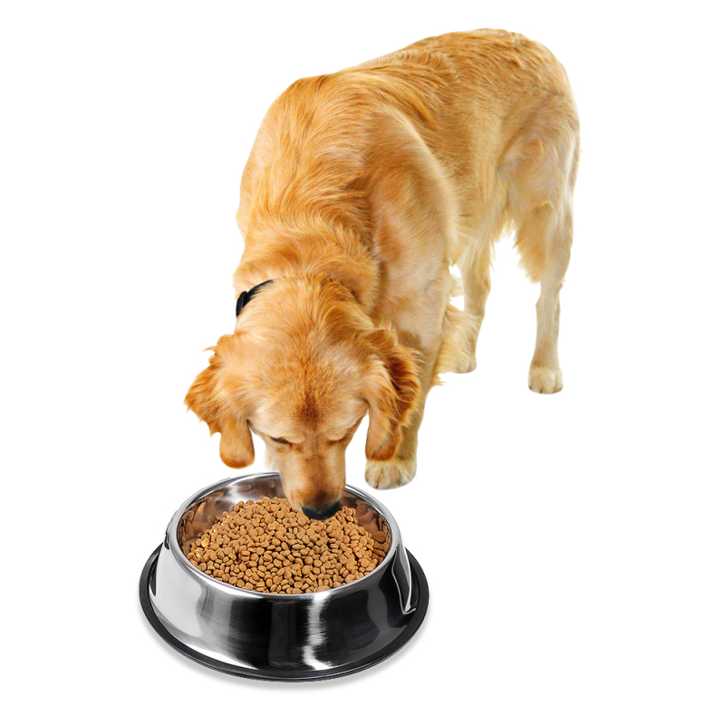 Pet Food Container Non-Slip  Stainless Steel Dog Bowl with Rubber Base for Food and Water
