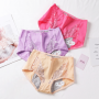 Menstrual Period Panties Women Cotton Lace Incontinence Pant, Incontinence Leak Proof Underwear for Adult