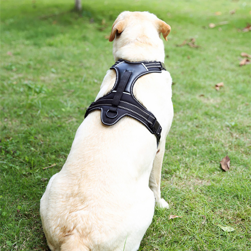 Adjustable Reflective Nylon Easy Control Medium Large Dog Harness