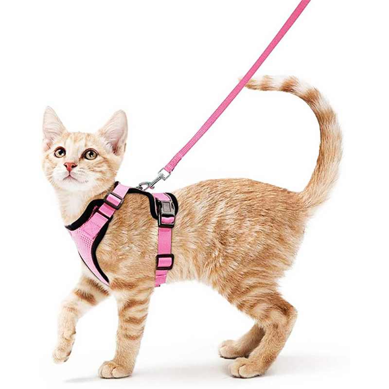 Breathable Escape Proof Safe Adjustable Kitten Cat Harness and Leash Set for Walking