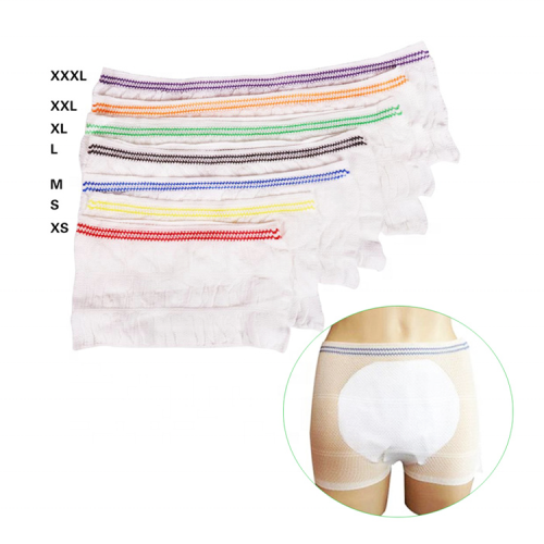 Wholesale adult diaper pants menstrual sanitary panties Disposable absorbent underwear for women period