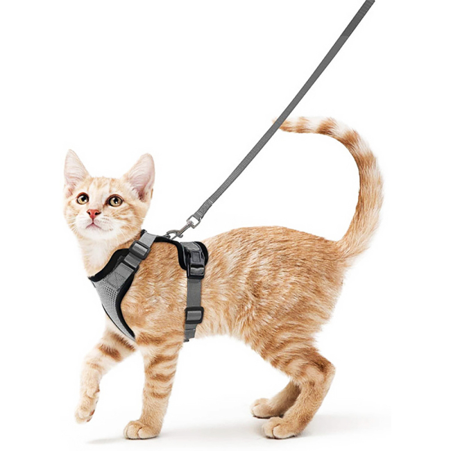 Breathable Pet Harness Reflective Anti-breakaway cat walking Harness