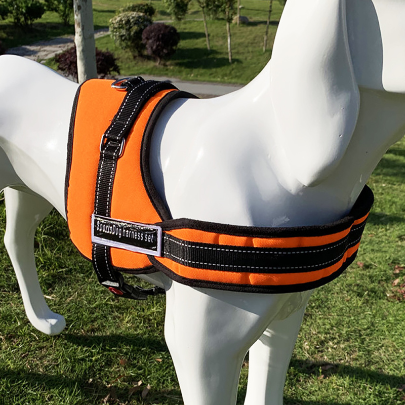 Wholesale  Adjustable and Padded Pet Harness for Easy Walking and Training