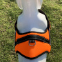 Wholesale  Adjustable and Padded Pet Harness for Easy Walking and Training