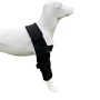 Factory Wholesale Pet Knee Surgery Recovery Sleeve brace legs joint wrap protector dog knee brace
