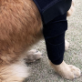 Factory Wholesale Pet Knee Surgery Recovery Sleeve brace legs joint wrap protector dog knee brace