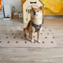 Custom Puppy Training Toilet Wee Pee Pad Washable Pet Training Pad With Anti Slip