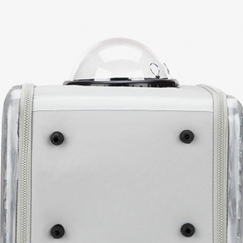 Portable Transparent Pet Bag Backpack Foldable Breathable Portable Bag for Cat