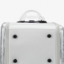 Portable Transparent Pet Bag Backpack Foldable Breathable Portable Bag for Cat