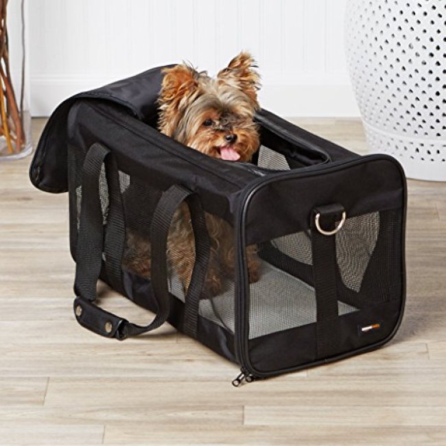 Custom Travel Airline Dog Backpack Factory Pet Carrier Bag Soft-Sided Pet Travel Carrier Mesh Light & Breathable