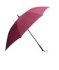 Fashion Polyester Umbrella With Automatic Opening