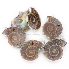 JF6382 Ammonite Fossiled pendant,Silver Ammonite Fossiled Pendant