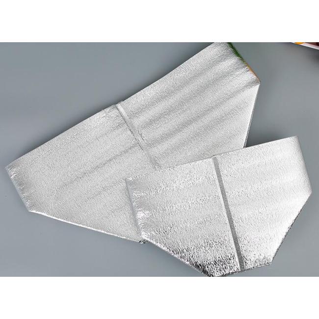 Cold ice pack Disposable thickening aluminum foil Lined thermal insulation bag for seafood/chocolate food shipping