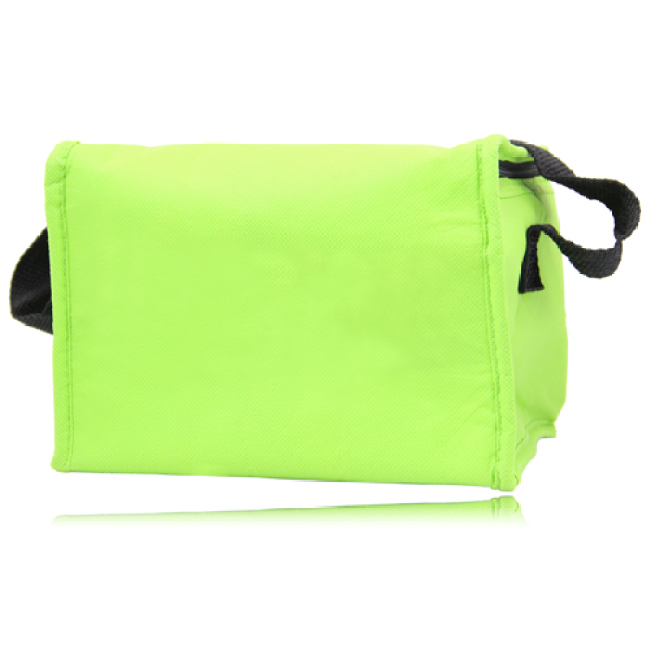 Non Woven Insulated Cooler Bag