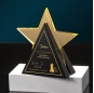 custom crystal awards glazed trophy star shape corporation awards