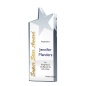 Hot Sale Blank Crystal Star Shape Trophy Customized Engraved Crystal Trophy Award