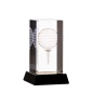 3D Laser Engraving Glass Block Glory Crystal Award Trophy With Golf Ball