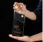 2021 New design crystal trophy award gold star crystal block blank plaque black bubble crystal trophy