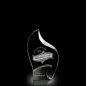 pujiang crystal trophy award trophy crystal crystal and wood trophy